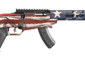 Ruger Precision 22LR 18" Barrel 15+1 08422 - Bolt - Tennessee Guns Inc