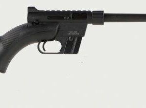 HENRY H002BSGB SURVIVAL PACK 22LR - RIFLES - Tennessee Guns Inc