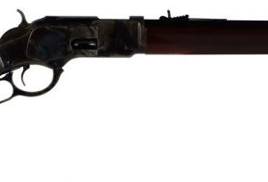 TAY 204 1873 FULL OCT PG 20IN 45LC