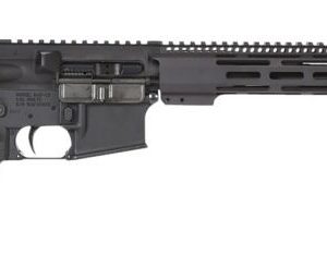 RADICAL 300BLK 16" M4 STK BLK - RIFLES - Tennessee Guns Inc