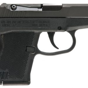KEL P3ATPKBLK 380ACP PARK - HANDGUNS - Tennessee Guns Inc