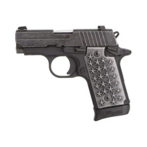 Sig Sauer We The People 380ACP 2.7" Barrel 7+1 238-380-WTP