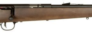 SAV 60702 MKIGY YTH 22S/L/LR S/S AT - Bolt - Tennessee Guns Inc