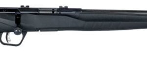 SAV 70801 B17FV 17HMR