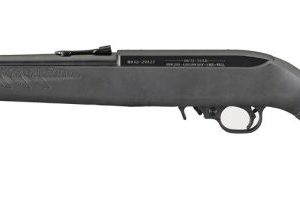 Ruger 10/22 Compact 22LR 16.12" Barrel 10+1 31114 - Bolt - Tennessee Guns Inc