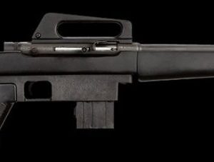 ROCKI 51111 M1600 SA 22LR RFL