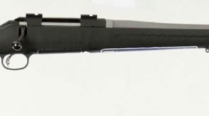 RUG 16959 AMERICAN 22-250 1:8 2TN/SS - Bolt - Tennessee Guns Inc