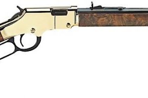 HENRY H004V GOLDEN BOY OCT 20IN 17HMR