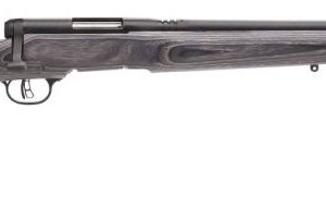 SAV 96970 BMAG 17WSM GRYLAM HFB - Bolt - Tennessee Guns Inc