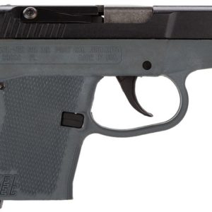 KEL P3ATBGRY 380 BLUE/GRY GRIP 6RD - HANDGUNS - Tennessee Guns Inc