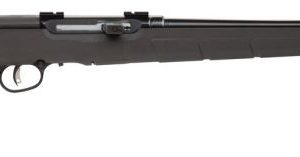 SAV 47400 A22M MAG 22WMR