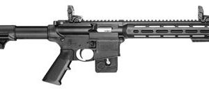 S&W M&P15-22 Sport 22LR 16.5" 10+1 *CT/MA/NJ* 10207