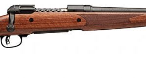 SAV 19206 11LWH DBM 243 - Bolt - Tennessee Guns Inc