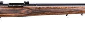 SAV 19738 25 LWT VAR 17 HORNET - Bolt - Tennessee Guns Inc