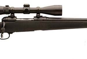 SAV 19679 11 TH XP 243 W/NIK - Bolt - Tennessee Guns Inc