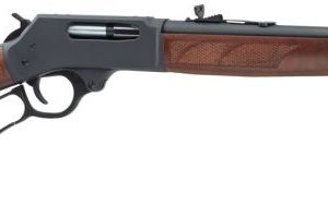 HENRY H010 STEEL 45-70