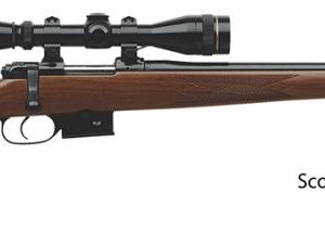 CZ 527 American 17 Hornet 21.9" Barrel 5+1  03065 - Bolt - Tennessee Guns Inc