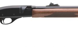 REM 25594 552 BDL DLX 22 AUTO TUBE WD