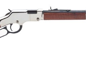HENRY H004SV GOLDEN BOY SILVER 17HMR - RIFLES - Tennessee Guns Inc