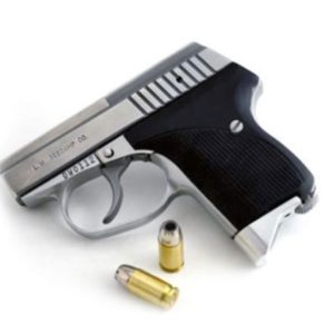 Seecamp LWS32 32ACP Stainless 6+1 LWS32 - SHOTGUNS - Tennessee Guns Inc