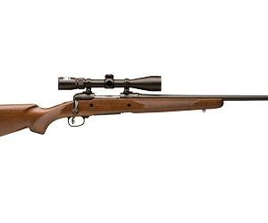 SAV 19714 10 TH XP 223 W/NIK - Bolt - Tennessee Guns Inc