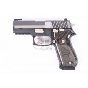 Sig Sauer P220 .45 Carry Equinox