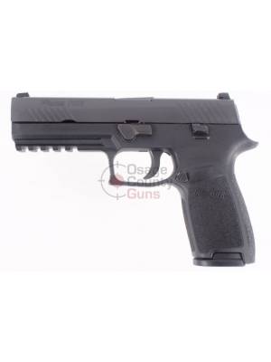 Sig Sauer P320 Full Size .40 S&W Night Sights
