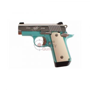 Kimber Micro Bel Air (NS) - .380 ACP