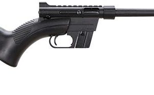 Henry Repeating Arms U.S. Survival AR-7 .22 LR 16.13" Barrel 8-Rounds