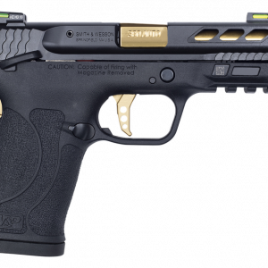 Smith and Wesson M&P380 Shield EZ Performance Center Gold .380 ACP 3.8" Barrel 8-Rounds - New Arrival - Tennessee Guns Inc