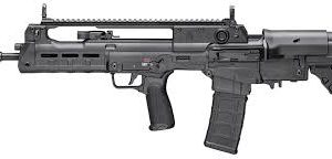 SPRINGFIELD ARMORY HELLION BULLPUP